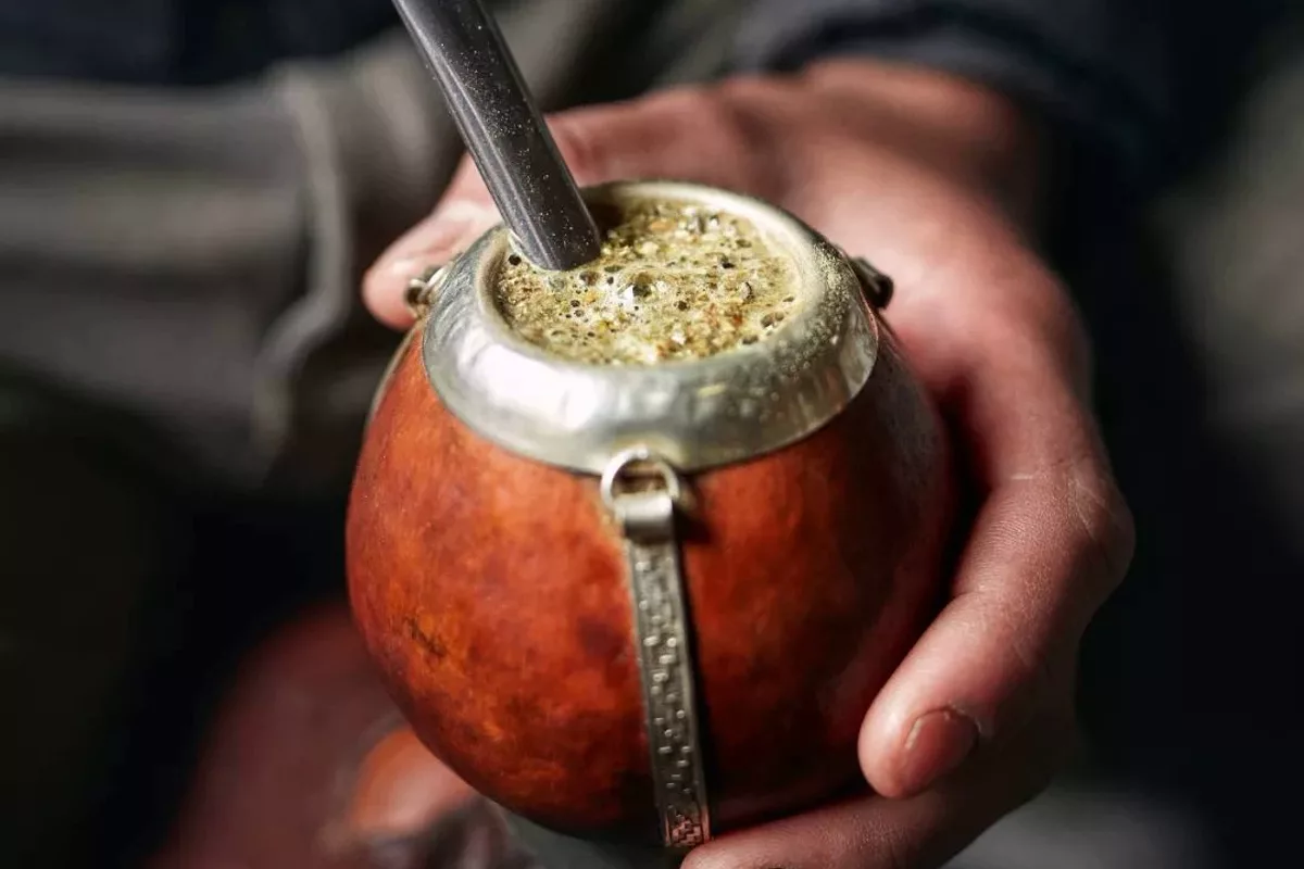 Hogyan válassz yerba matét: pálcával vagy anélkül?